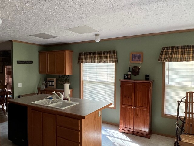 9996 N Chippewa Rd, Coleman, MI 48618 - kitchen featuring a sink, a kitchen island with sink, plenty of natural light, a textured ceiling, and ornamental molding