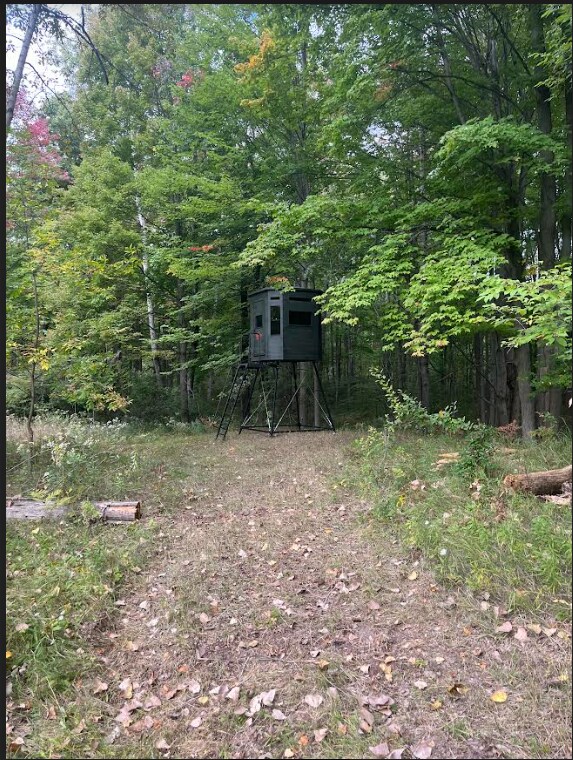 9996 N Chippewa Rd, Coleman, MI 48618 - view of yard with a wooded view