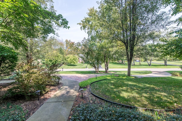 view of property's community with a yard