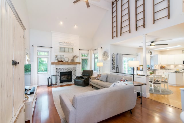 living room featuring hardwood / wood-style floors, a healthy amount of sunlight, and high vaulted ceiling