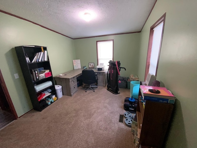 carpeted home office featuring a textured ceiling and ornamental molding