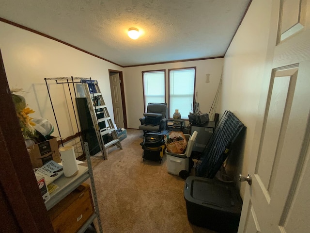 sitting room featuring carpet and a textured ceiling