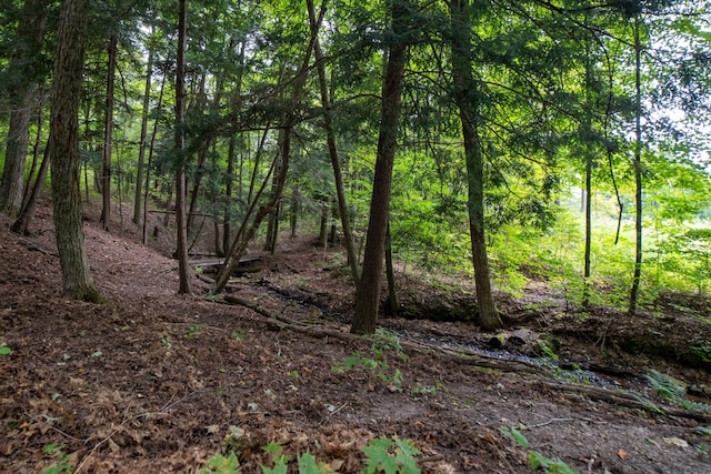 21493 20 Mile Rd, Tustin, MI 49688 - view of tree filled area