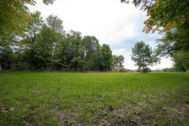 21493 20 Mile Rd, Tustin, MI 49688 - view of yard