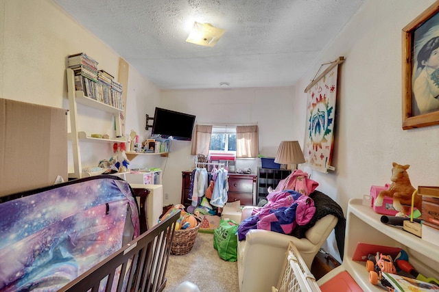 interior space with carpet flooring and a textured ceiling