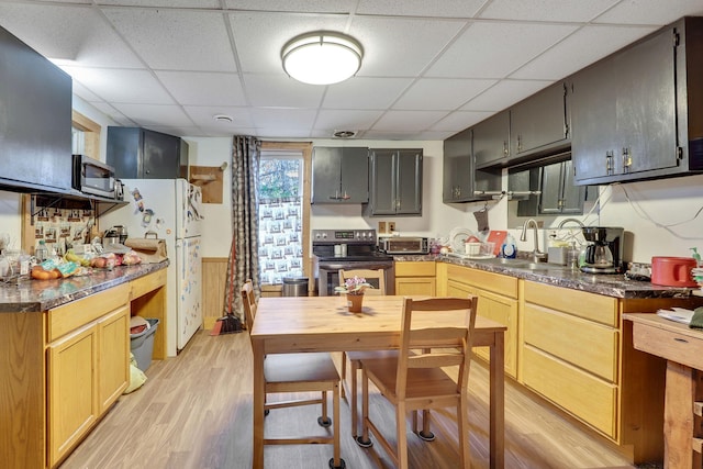 kitchen with a drop ceiling, light brown cabinetry, appliances with stainless steel finishes, and light hardwood / wood-style flooring