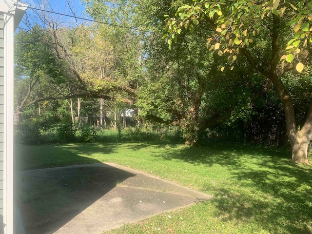 view of yard with a patio