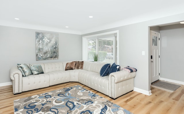 living room featuring wood-type flooring