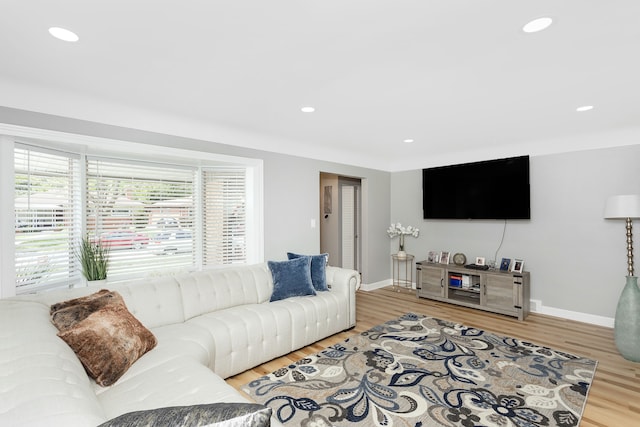 living room with wood-type flooring