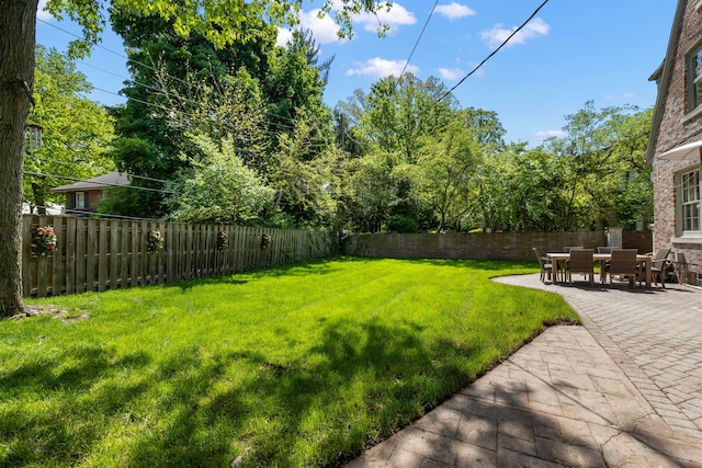 view of yard featuring a patio area