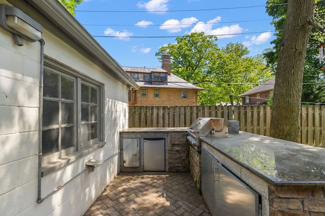 view of patio / terrace with area for grilling and grilling area