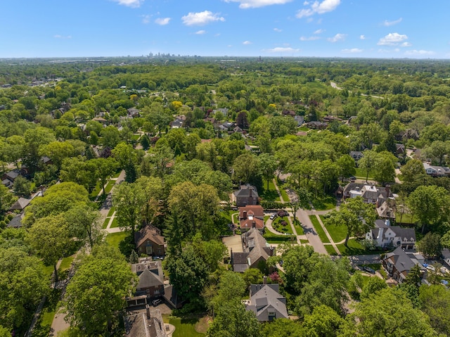 bird's eye view