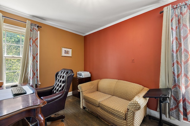 home office with dark hardwood / wood-style flooring and crown molding