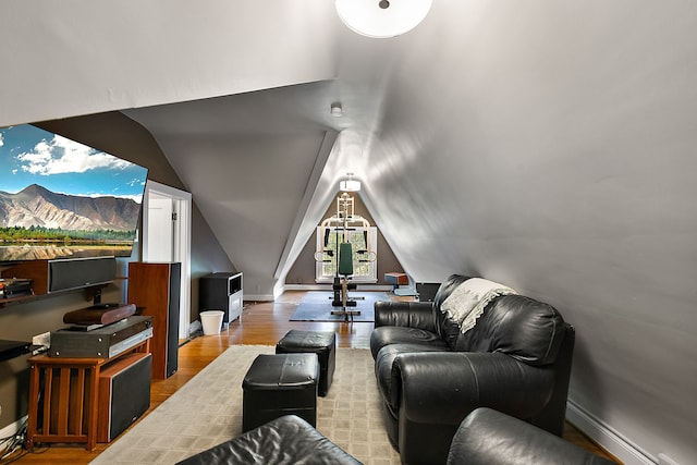 home theater room featuring light hardwood / wood-style flooring, vaulted ceiling, and a baseboard heating unit