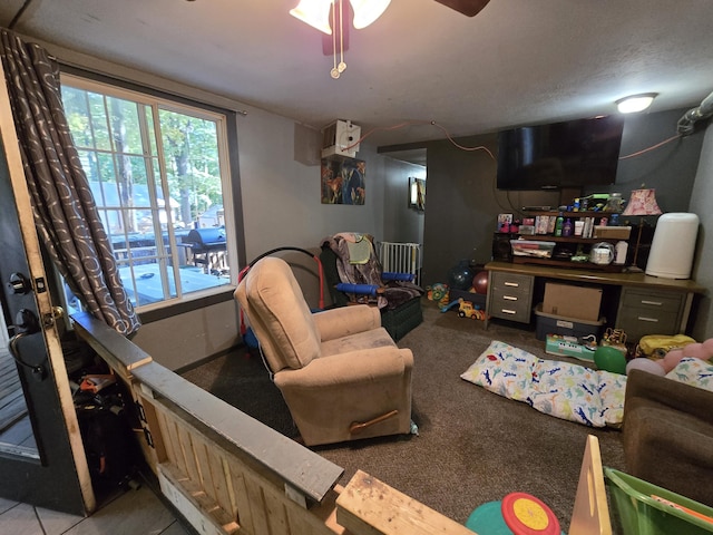 7867 W Wisconsin St, Shelby, MI 49455 - carpeted living area with radiator and ceiling fan
