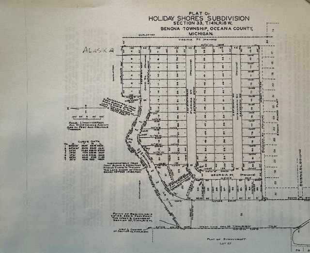 7867 W Wisconsin St, Shelby, MI 49455 - map of parcels