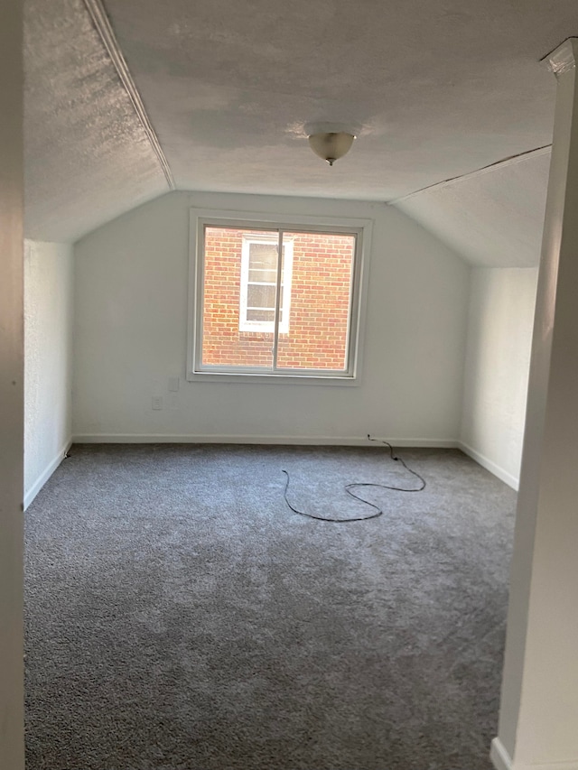 bonus room featuring a textured ceiling, lofted ceiling, and carpet floors