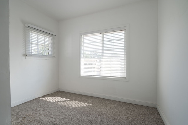 carpeted empty room with a wealth of natural light