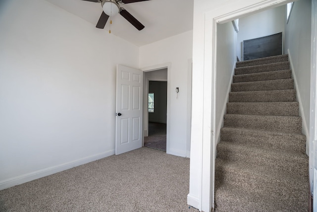 staircase featuring ceiling fan and carpet