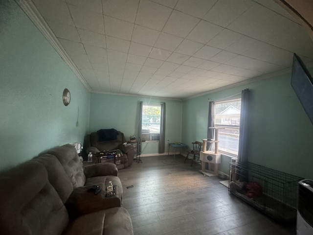 living room with a wealth of natural light, hardwood / wood-style floors, and ornamental molding