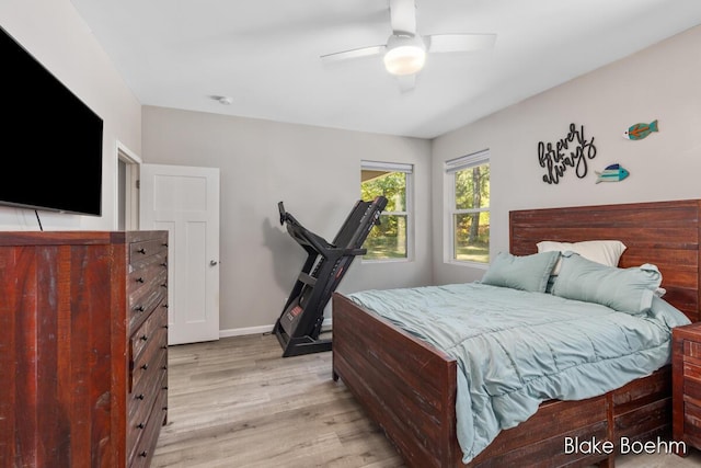 8981 Spruce Ave Unit B, Newaygo, MI 49337 - bedroom with light wood-type flooring, a ceiling fan, and baseboards