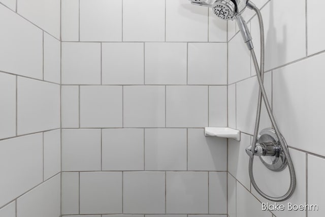 8981 Spruce Ave Unit B, Newaygo, MI 49337 - bathroom view of tiled shower