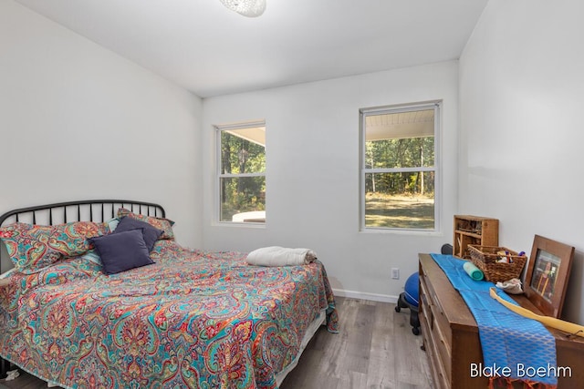 8981 Spruce Ave Unit B, Newaygo, MI 49337 - bedroom featuring wood finished floors, multiple windows, and baseboards