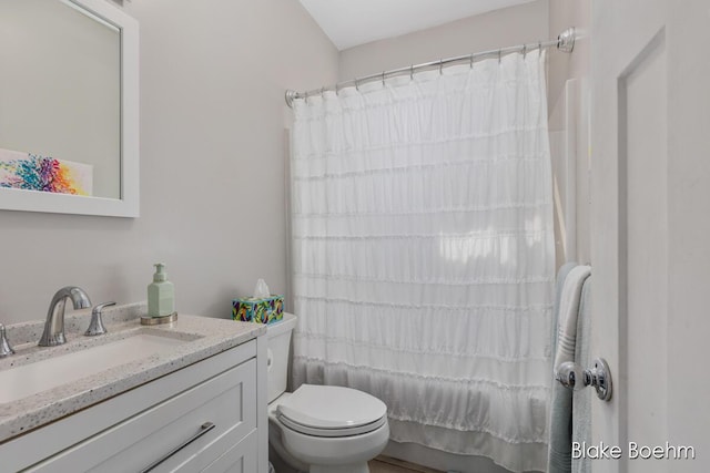 8981 Spruce Ave Unit B, Newaygo, MI 49337 - bathroom with toilet, vanity, and shower / tub combo with curtain