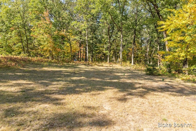 8981 Spruce Ave Unit B, Newaygo, MI 49337 - view of woods