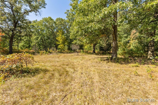 8981 Spruce Ave Unit B, Newaygo, MI 49337 - view of tree filled area