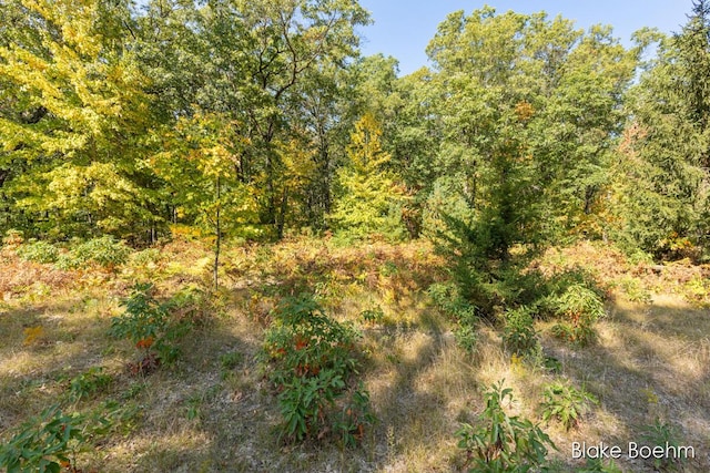8981 Spruce Ave Unit B, Newaygo, MI 49337 - view of woods