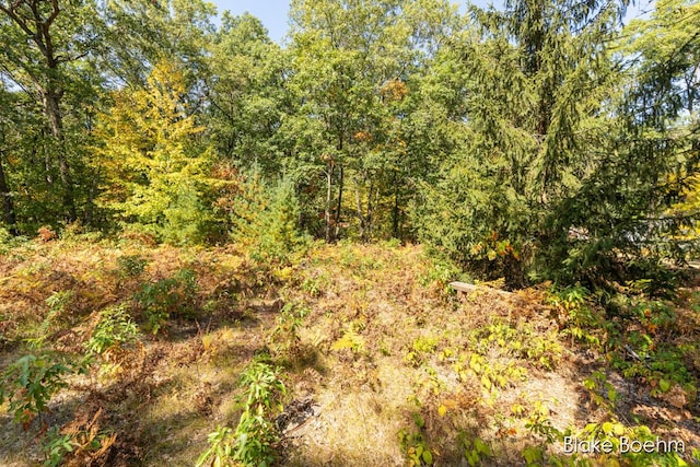 8981 Spruce Ave Unit B, Newaygo, MI 49337 - view of woods