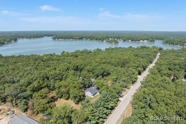 8981 Spruce Ave Unit B, Newaygo, MI 49337 - drone / aerial view of a heavily wooded area and a nearby body of water