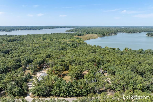 8981 Spruce Ave Unit B, Newaygo, MI 49337 - aerial view of property's location featuring a heavily wooded area and a nearby body of water