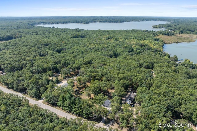 8981 Spruce Ave Unit B, Newaygo, MI 49337 - aerial overview of property's location featuring a heavily wooded area and a nearby body of water