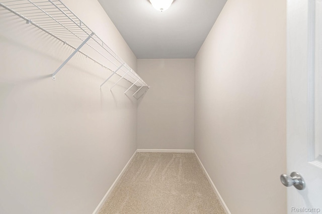 4442 Sprauge Ln, Swartz Creek, MI 48473 - spacious closet with carpet flooring