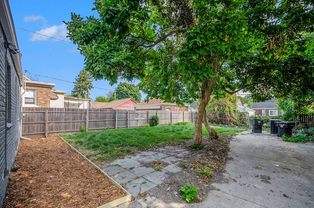 view of yard featuring a patio