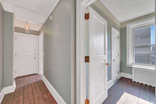 hallway with wood-type flooring and radiator