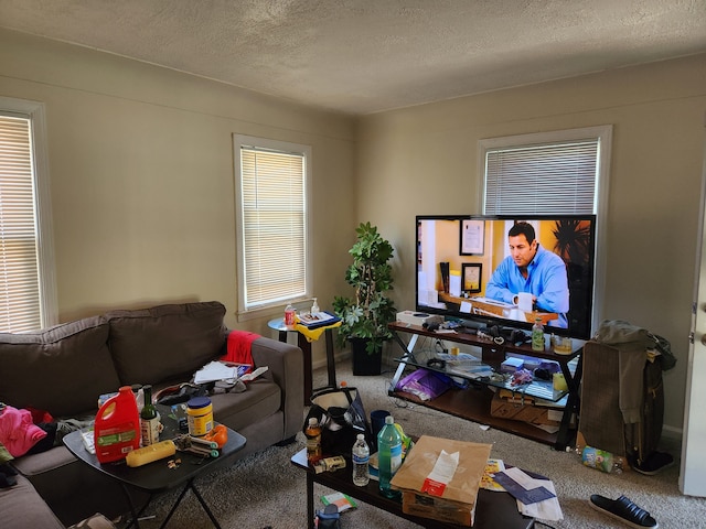 living room with a textured ceiling and carpet floors