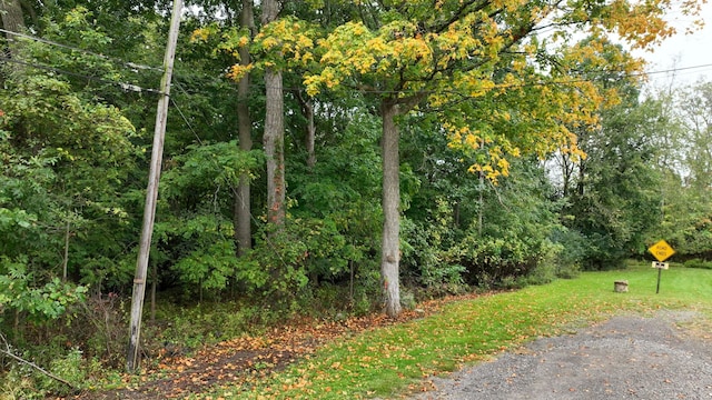 2 Esson Dr, Grand Blanc, MI 48439