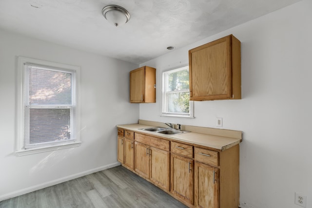 kitchen with sink and light hardwood / wood-style flooring