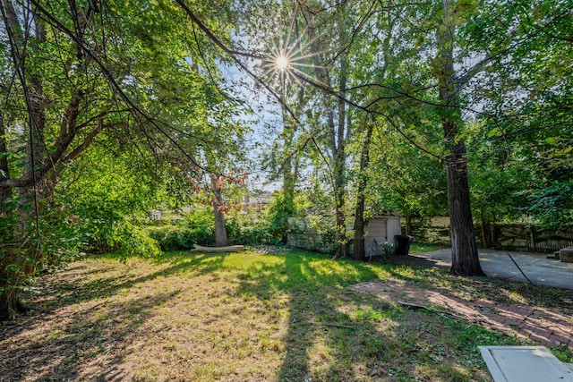 view of yard featuring a patio area