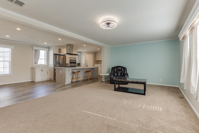 living area featuring crown molding, sink, wood-type flooring, and a textured ceiling