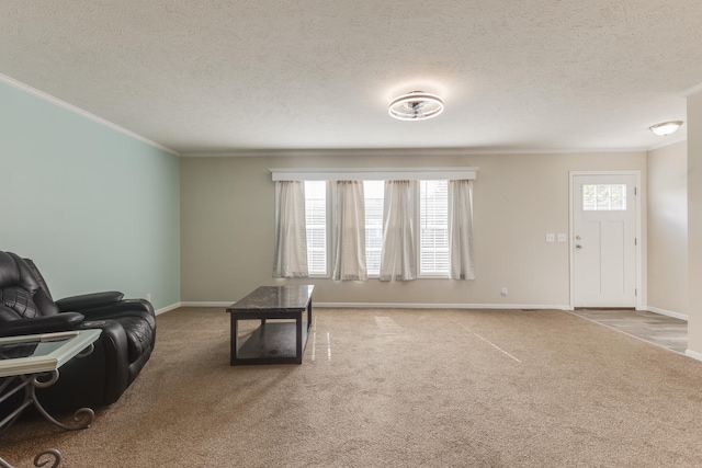 living room with carpet, ornamental molding, and a textured ceiling