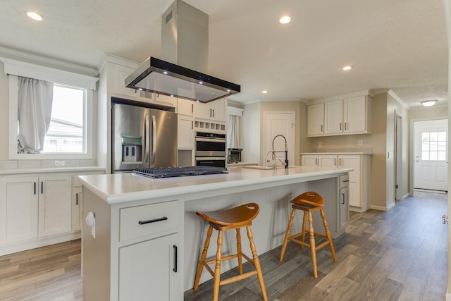 kitchen featuring plenty of natural light, island range hood, an island with sink, and appliances with stainless steel finishes