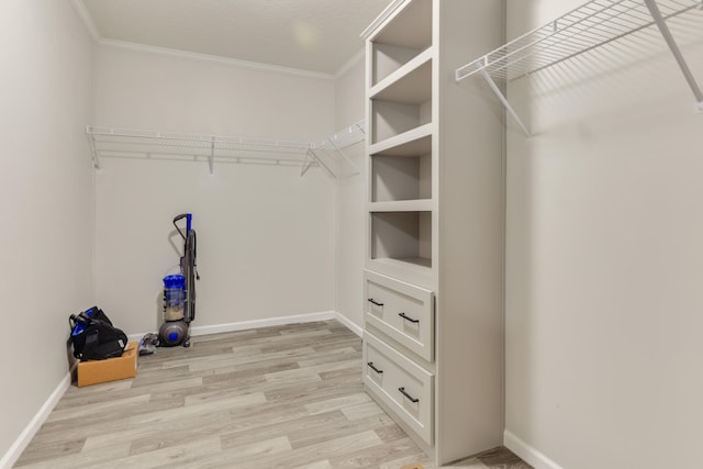 spacious closet with light hardwood / wood-style floors