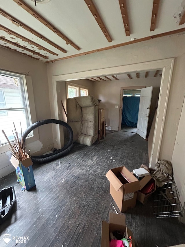 miscellaneous room featuring plenty of natural light and dark hardwood / wood-style floors