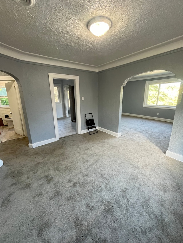 unfurnished room with carpet and a textured ceiling