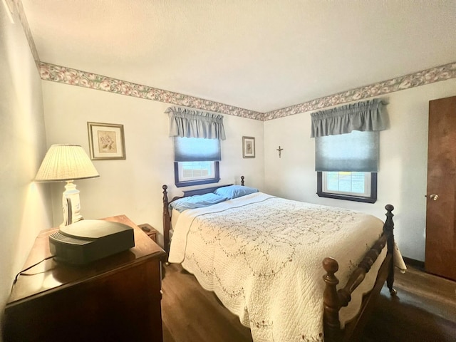 bedroom featuring multiple windows and dark wood-type flooring