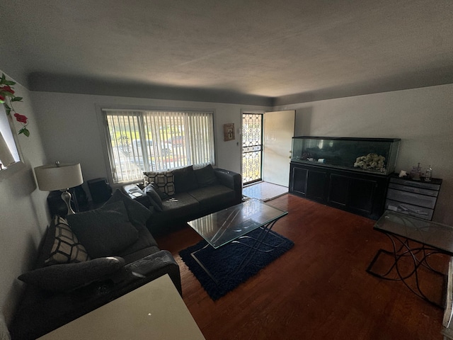 living room featuring hardwood / wood-style floors and a textured ceiling